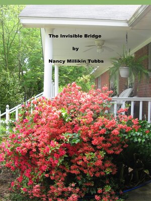 cover image of The Invisible Bridge